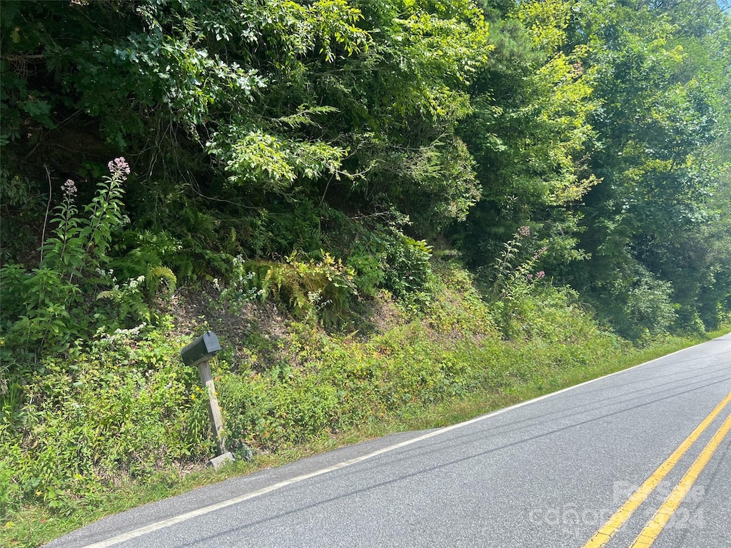 576 Frozen Creek Rd, Brevard, NC 28712