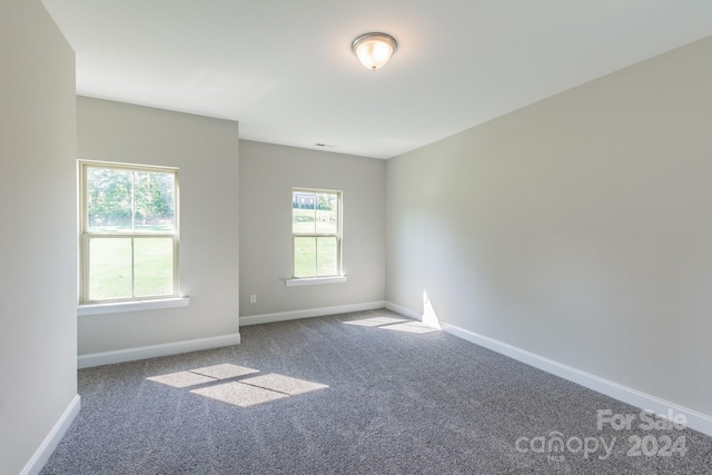 empty room with a healthy amount of sunlight and carpet flooring