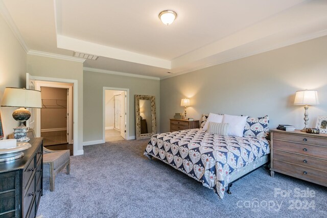 bedroom featuring a closet, a tray ceiling, a walk in closet, carpet, and crown molding