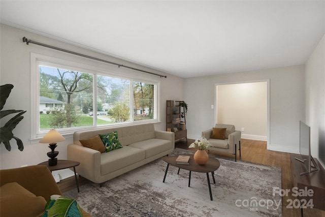 living room featuring a wealth of natural light and wood-type flooring