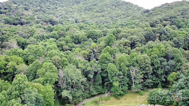 0000 Silverleaf Cir, Waynesville NC, 28786 land for sale