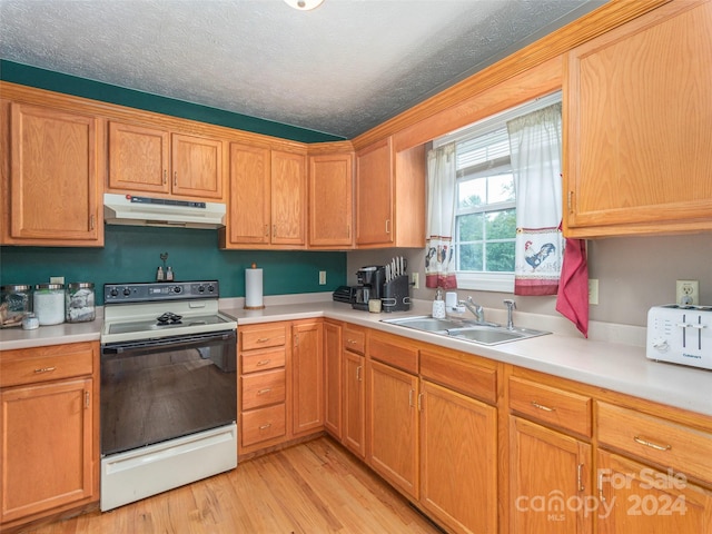 kitchen featuring light wood-type flooring, a textured ceiling, sink, and electric stove