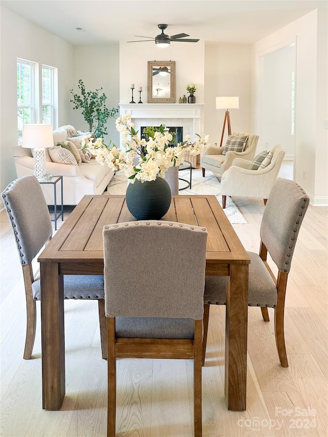 dining space with ceiling fan and light hardwood / wood-style floors