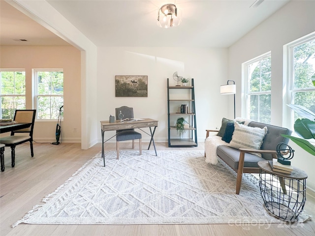 living area featuring a healthy amount of sunlight and light hardwood / wood-style flooring