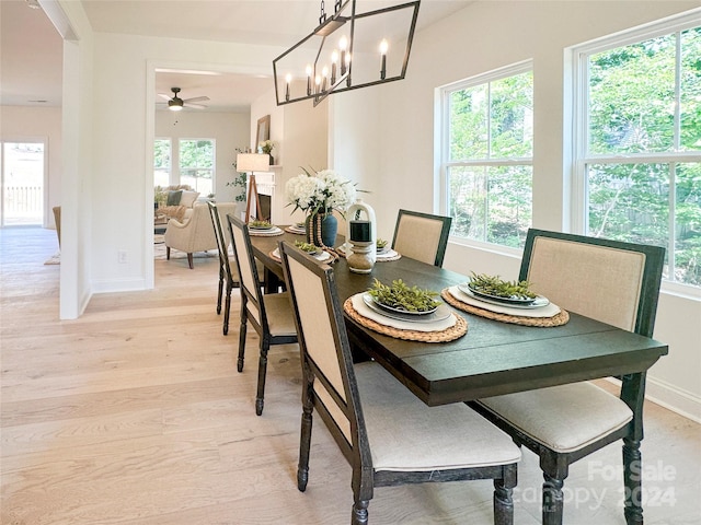 dining space featuring ceiling fan and light wood-type flooring