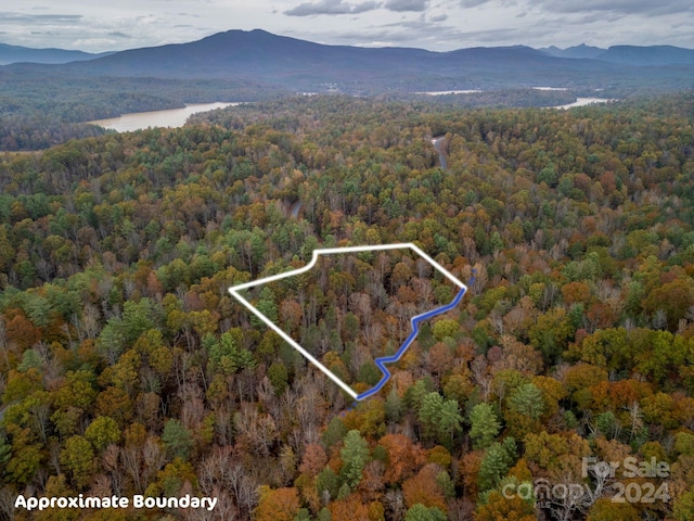 139 Larkhaven Dr, Nebo, NC 28761 - photo 1