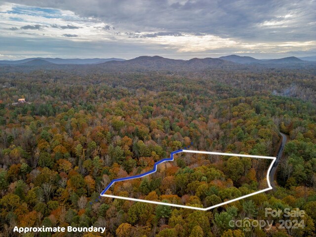 139 Larkhaven Dr, Nebo, NC 28761 - photo 5
