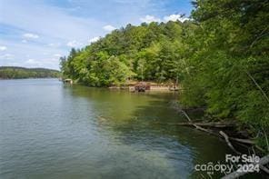 Listing photo 2 for 104 Deep Water Ln Unit 4, Connelly Springs NC 28612