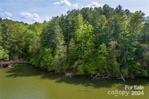 104 Deep Water Ln Unit 4, Connelly Springs, NC 28612