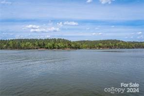 104 Deep Water Ln Unit 4, Connelly Springs, NC 28612