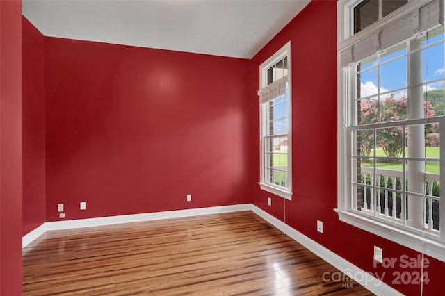 spare room featuring wood-type flooring