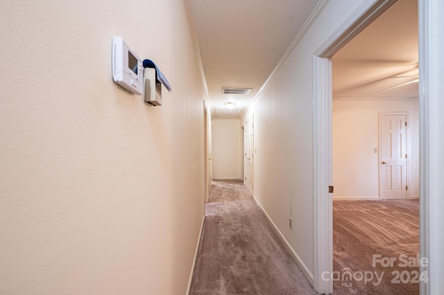 corridor with crown molding and carpet