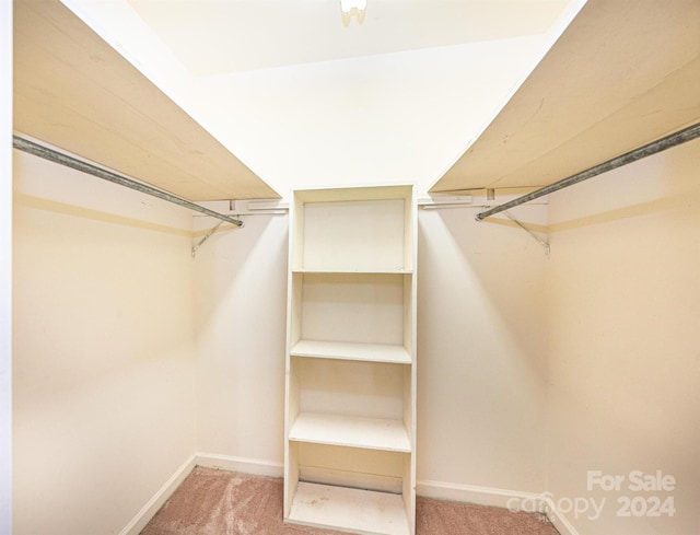 spacious closet with carpet flooring