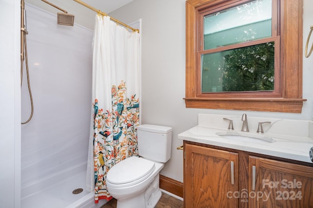 bathroom featuring toilet, vanity, and a shower with curtain