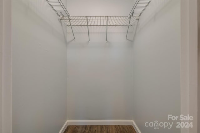 spacious closet featuring hardwood / wood-style floors