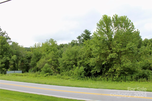 Listing photo 3 for 00 Haywood Rd, Hendersonville NC 28791