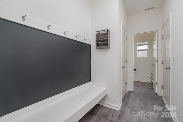 mudroom with dark hardwood / wood-style flooring