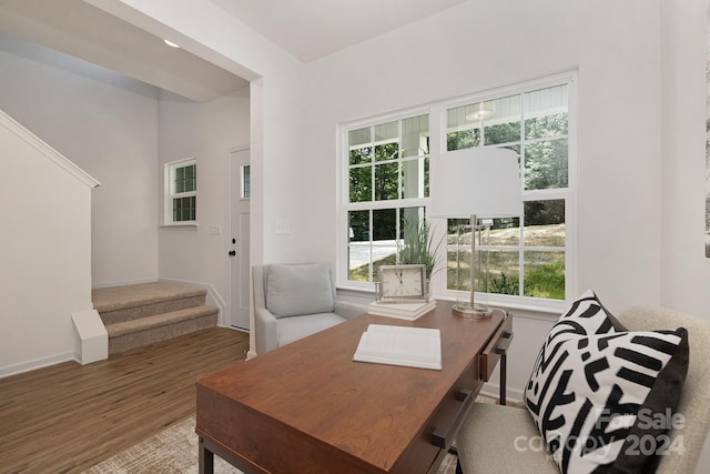 office space with hardwood / wood-style floors