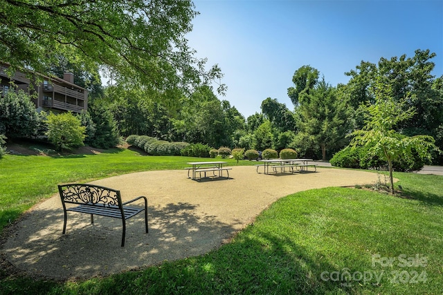 view of property's community with a yard