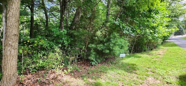 00000 Barebridge Dr Unit 9, Burnsville NC, 28714 land for sale