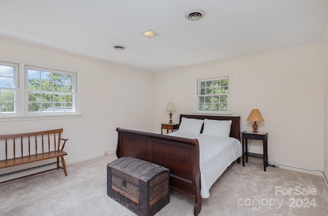 carpeted bedroom with crown molding