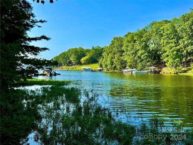 142 Long Cv, New London NC, 28127 land for sale