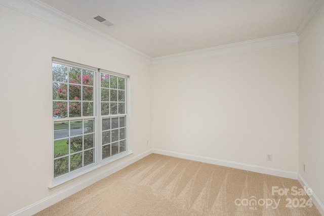 carpeted spare room featuring crown molding