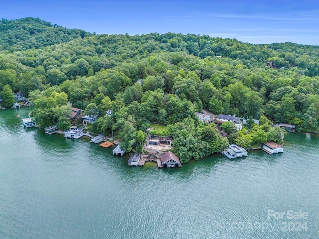 181 Allen Dr, Lake Lure NC, 28746 land for sale