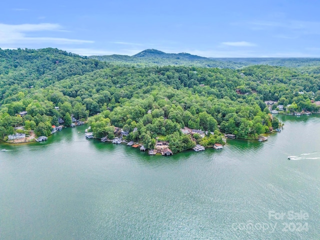 Listing photo 3 for 181 Allen Dr, Lake Lure NC 28746