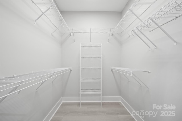 walk in closet with hardwood / wood-style flooring