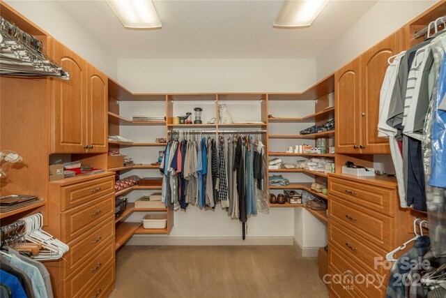 spacious closet with light carpet