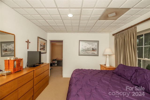 carpeted bedroom featuring a walk in closet and a closet