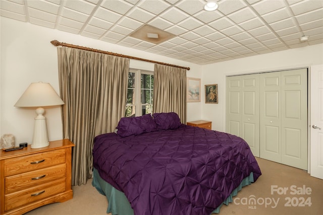 carpeted bedroom featuring a closet