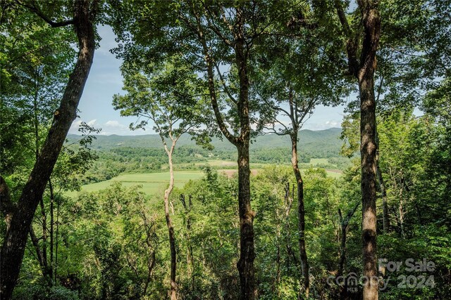 view of local wilderness