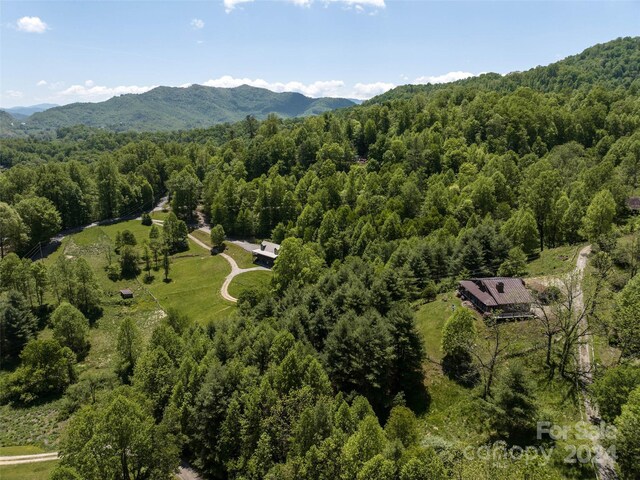 bird's eye view featuring a mountain view