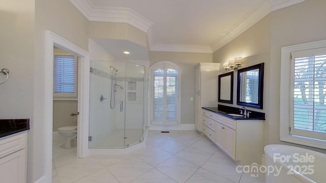 full bathroom featuring a wealth of natural light, crown molding, vanity, and a shower stall