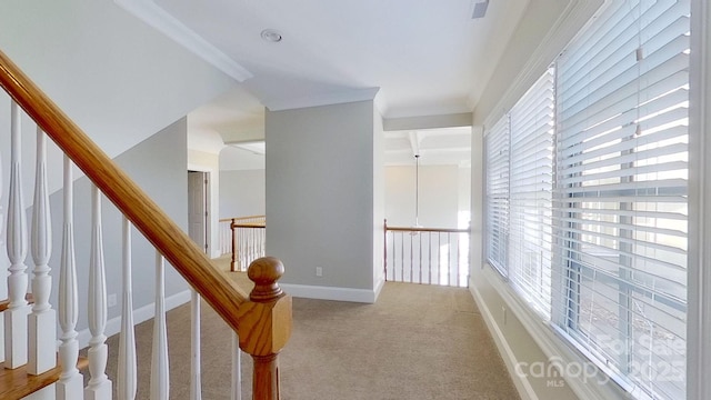 corridor featuring baseboards, ornamental molding, and light colored carpet