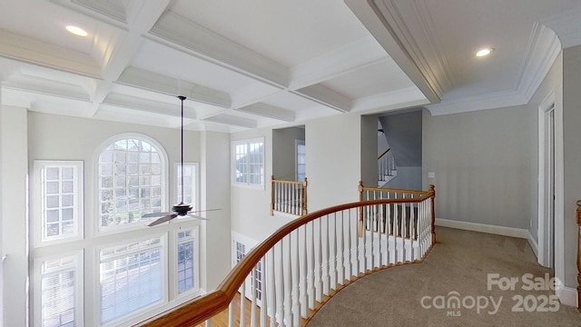 hall with carpet, beam ceiling, recessed lighting, coffered ceiling, and baseboards