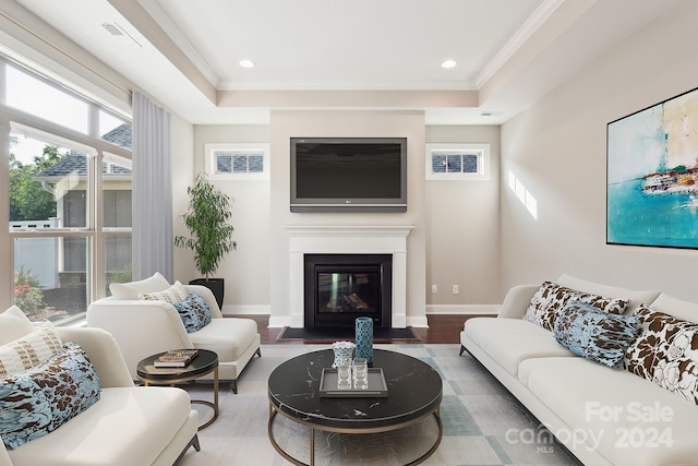 living room featuring a raised ceiling, ornamental molding, and wood-type flooring