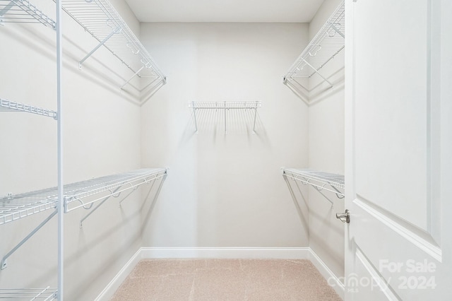 view of spacious closet