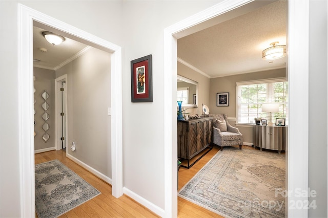 hall with crown molding, a textured ceiling, and light hardwood / wood-style floors