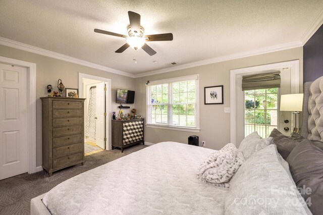 carpeted bedroom featuring ornamental molding, access to exterior, and a textured ceiling