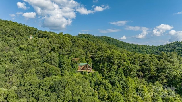 4901 Nightingale Way, Lenoir, NC 28645 - photo 48