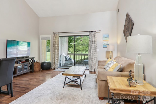 living room featuring lofted ceiling and hardwood / wood-style floors