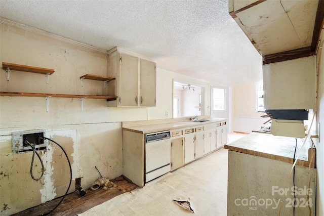 kitchen with sink, a textured ceiling, and white dishwasher