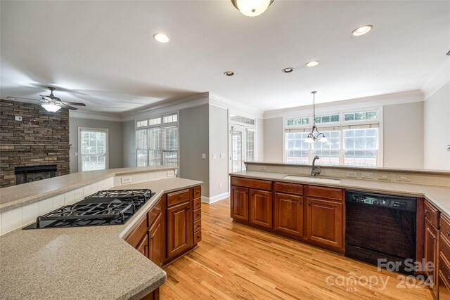 kitchen with light wood-type flooring, pendant lighting, a stone fireplace, dishwasher, and sink