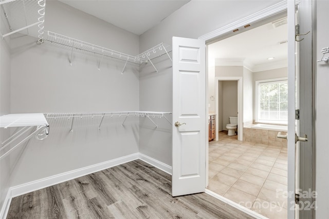 walk in closet with wood-type flooring