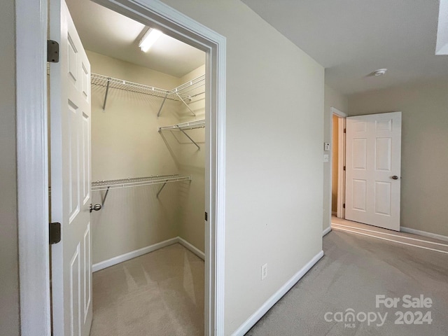 spacious closet with light colored carpet