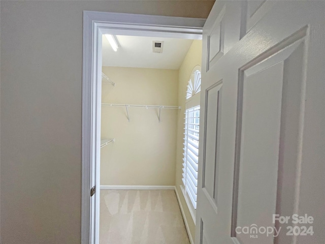 spacious closet with light colored carpet