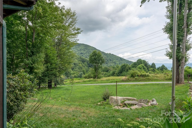 view of yard featuring a mountain view